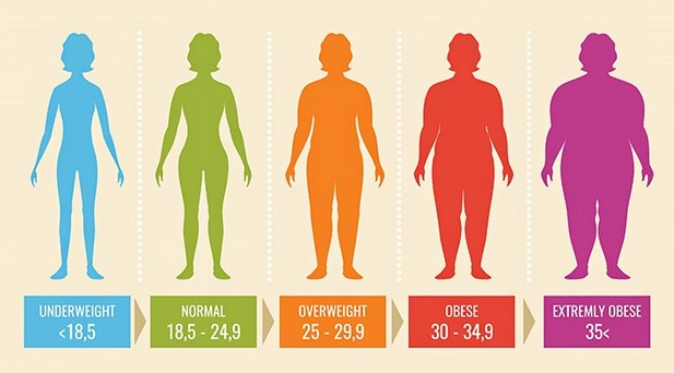 Những người béo phì sẽ có chỉ số BMI từ 30 trở lên