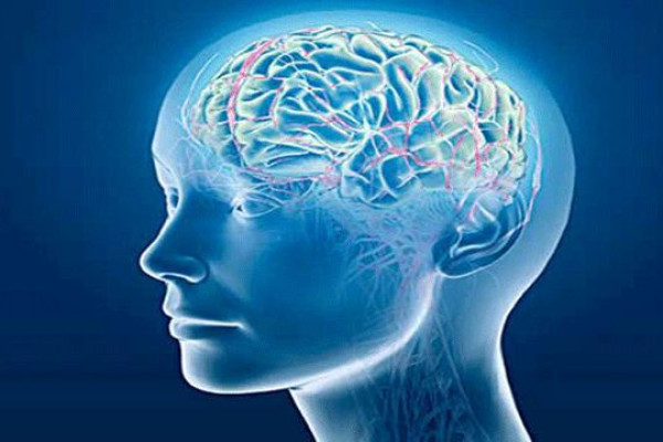 Bệnh khô não là gì? Các lưu ý khi chăm sóc cho người bệnh khô não