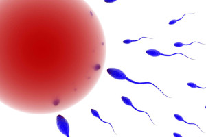 da-co-thuoc-tranh-thai-an-toan-danh-cho-nam-gioi