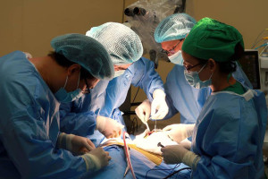 da-tim-duoc-cach-chua-benh-diec-bam-sinh