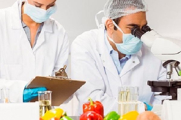 Học ngành Đảm bảo chất lượng và an toàn thực phẩm ra làm gì?