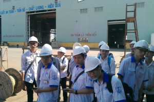 kinh-te-van-tai-la-nganh-gi-co-nen-hoc-nganh-van-tai-bien-khong