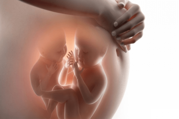 Mang đa thai có nguy hiểm không? Cần lưu ý những gì khi mang đa thai?