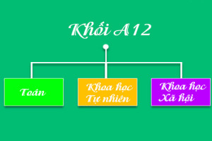 mon-thi-khoi-a12-gom-nhung-gi-khoi-a12-hoc-truong-nao