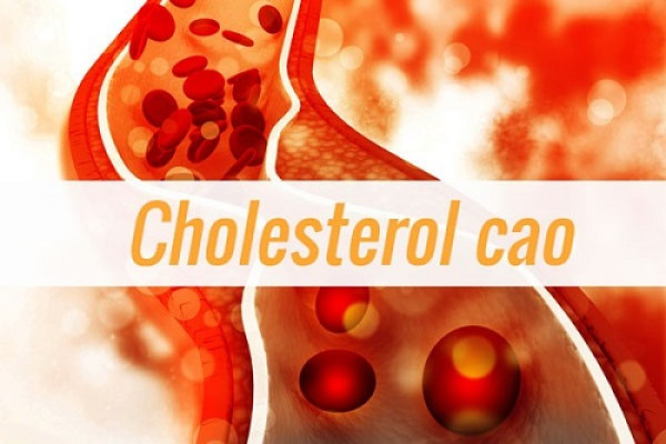 Nguyên nhân gây ra Cholesterol cao mà bạn cần biết