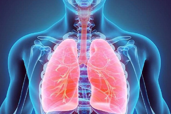 Nguyên nhân, triệu chứng và cách điều trị bệnh giãn phế quản