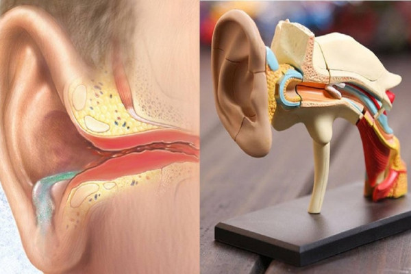 Những điều cần biết về viêm tai giữa ở trẻ em
