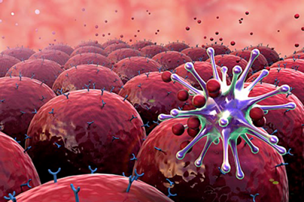 Những yếu tố nào làm tăng nguy cơ mắc U lympho tế bào T?