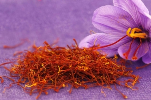 Nhụy hoa nghệ tây dùng không đúng cách có thể gây sảy thai hoặc tử vong