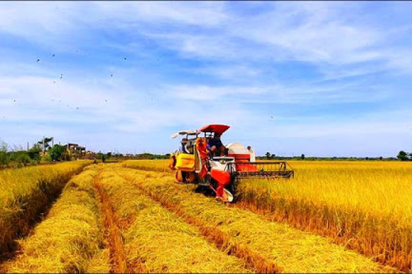 Nông nghiệp bao gồm những chuyên ngành nào?