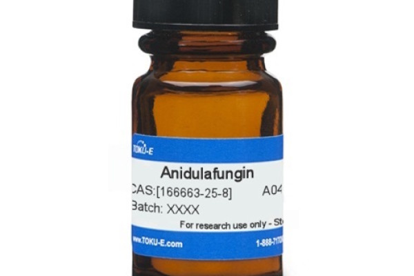 Tác dụng của Anidulafungin là gì? Khi dùng Anidulafungin nên lưu ý những gì?