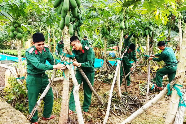 Thông tin tuyển sinh ngành Hậu cần Quân sự