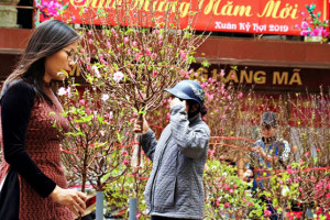 thu-tuong-chot-phuong-an-nghi-tet-canh-ty-tong-cong-7-ngay