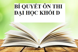 tim-hieu-cac-cach-on-thi-dai-hoc-hieu-qua-khoi-d-cho-si-tu