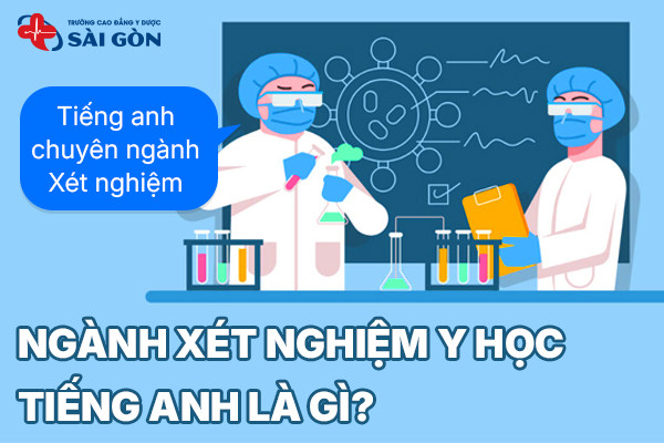 Tổng Hợp Từ Vựng Tiếng Anh Chuyên Ngành Xét Nghiêm Y Học