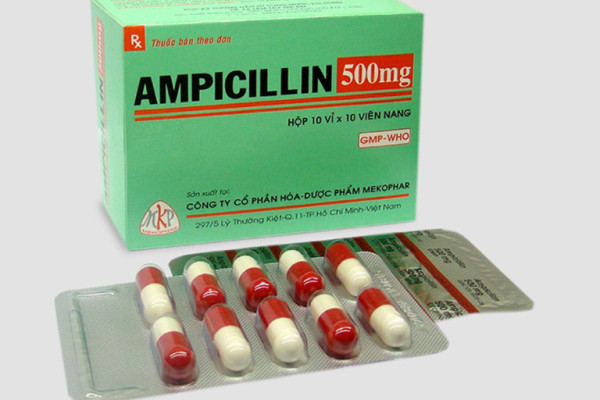 Trước khi dùng thuốc Ampicillin bạn nên biết những gì?