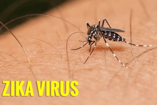 Việt Nam ghi nhận trường hợp đầu tiên mắc bệnh do virus Zika