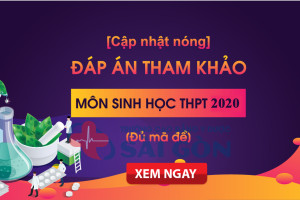 dap-an-de-thi-sinh-hoc-thpt-quoc-gia-2019-day-du-24-ma-de-tham-khao