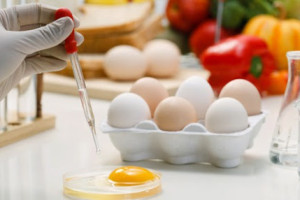 diem-chuan-nganh-cong-nghe-thuc-pham-chinh-xac-nhat