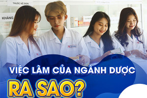 giai-dap-thac-mac-hoc-cao-dang-co-xin-duoc-viec-khong