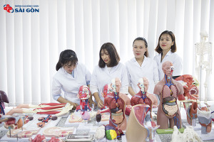 gioi-thieu-ve-nganh-duoc-cac-cong-viec-va-ky-nang-can-co-cua-duoc-si