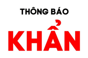 ha-noi-khan-tim-nguoi-den-cua-hang-hoa-qua-o-duong-co-nhue