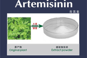 khi-su-dung-thuoc-artemisinin-dieu-tri-sot-ret-can-luu-y-dieu-gi