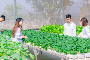 nganh-kinh-te-nong-nghiep-la-gi-hoc-gi-ra-lam-gi