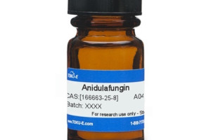 tac-dung-cua-anidulafungin-la-gi-khi-dung-anidulafungin-nen-luu-y-nhung-gi