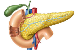 tim-hieu-benh-viem-tuy-va-nhung-phuong-phap-dieu-tri-benh-pho-bien