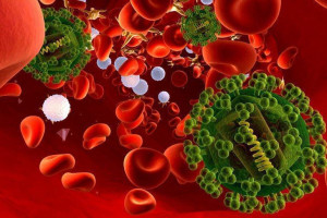 tim-hieu-can-benh-nhiem-trung-huyet-do-lien-cau