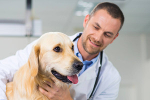 tu-vung-tieng-anh-chuyen-nganh-chan-nuoi-thu-y