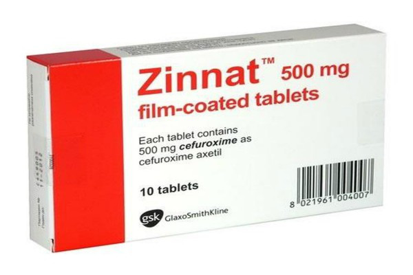 Zinnat: Những điều bạn cần biết