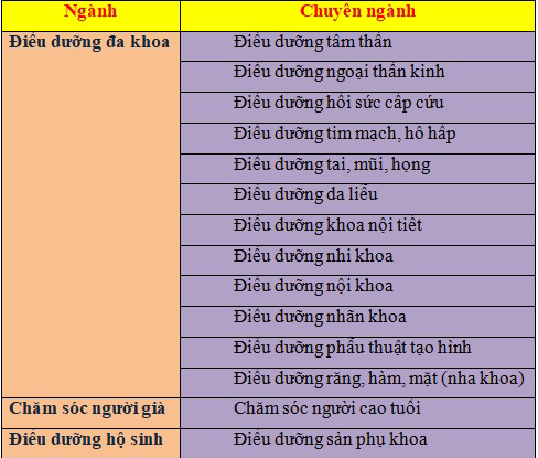 tổng hợp cao đằng điều dưỡng 