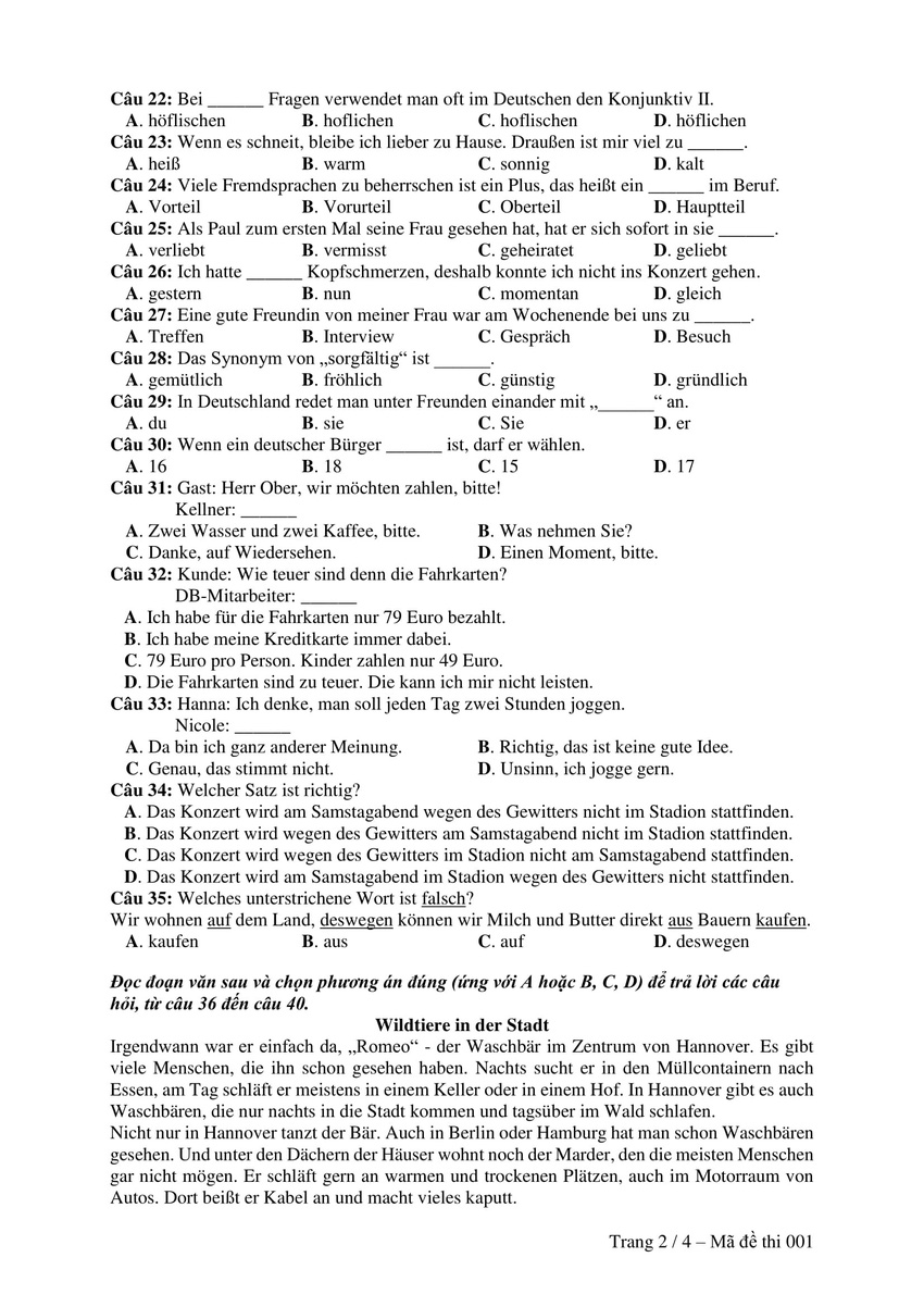 2019-de-thi-minh-hoa-tieng-duc