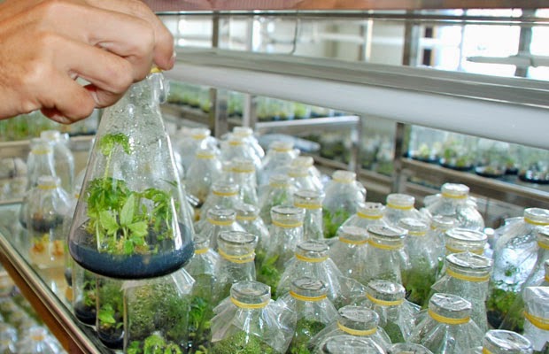 nganh-cong-nghe-sinh-hoc