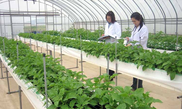 cac-truong-dai-hoc-dao-tao-nganh-nong-nghiep