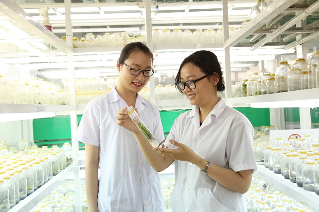 cac-truong-dao-tao-nganh-cong-nghe-ky-thuat-moi-truong