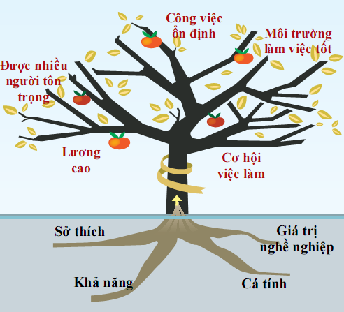 c&acirc;y nghề nghiệp 
