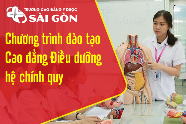 Các môn học ngành Điều dưỡng – Chương trình đào tạo Cao đẳng Điều dưỡng