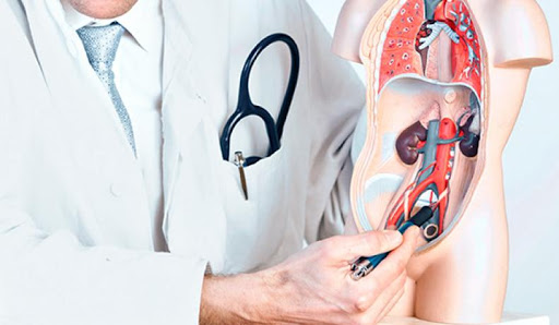 Chia sẻ thông tin về Khoa ngoại tiết niệu mà bạn cần biết