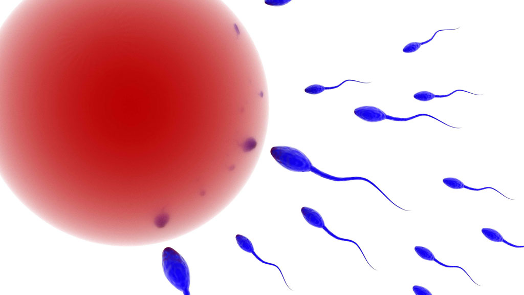 Đã có thuốc tránh thai an toàn dành cho nam giới