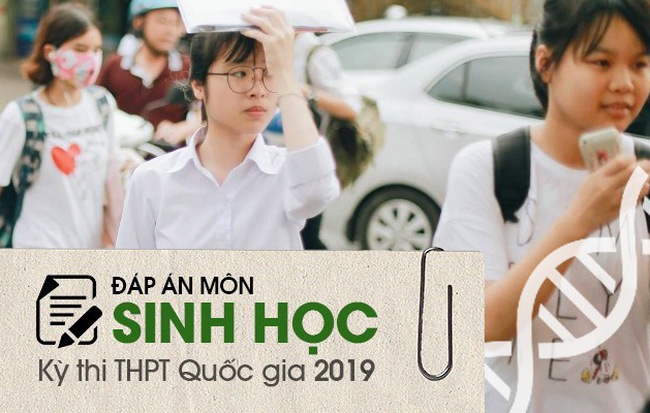 Đáp án chính thức môn Sinh học thi THPT quốc gia 2019 tất cả các mã đề của Bộ GD-ĐT