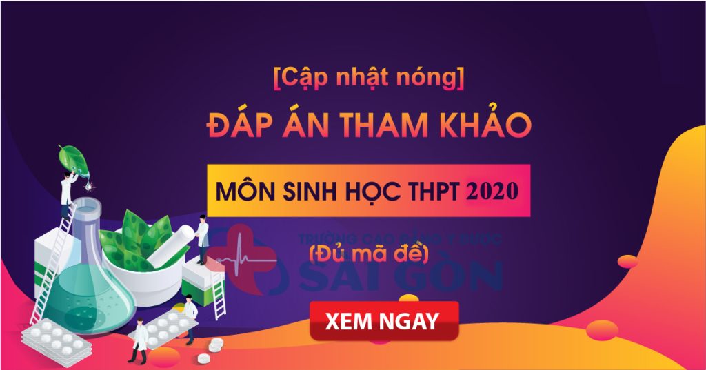 Đáp án 24 mã đề môn Sinh học Kỳ thi tốt nghiệp THPT 2020 (tham khảo)