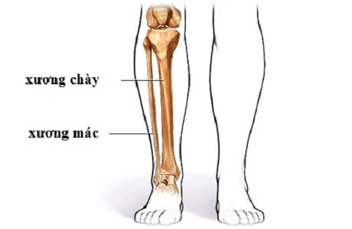 Gãy xương mác sẽ sử dụng phương pháp nào để điều trị hiệu quả bệnh?