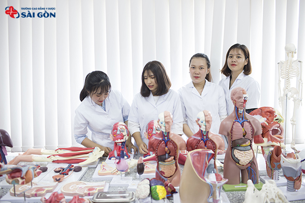 Dược Sĩ Là Gì? Vai Trò và Công Việc Của Dược Sĩ