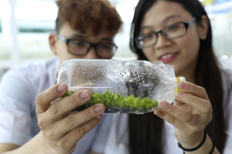 co-nen-hoc-nganh-cntp