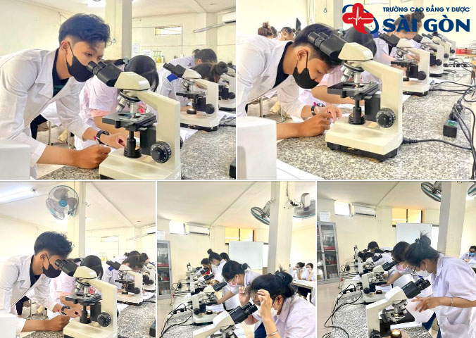 Học Dược c&oacute; những m&ocirc;n chuy&ecirc;n ng&agrave;nh bắt buộc 