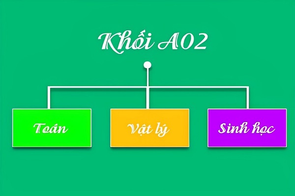 Khối A02 gồm những ngành nào? Những trường đào tạo khối A02