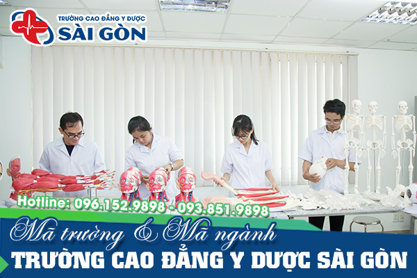 Mã trường, mã ngành trường Cao đẳng Y Dược Sài Gòn năm 2025